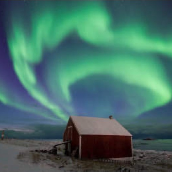 Meet your Posher, Matty - Picture 1 of 1